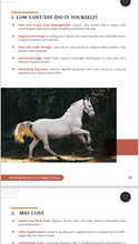 Load image into Gallery viewer, soothing Solutions for horses ebook sneek peek