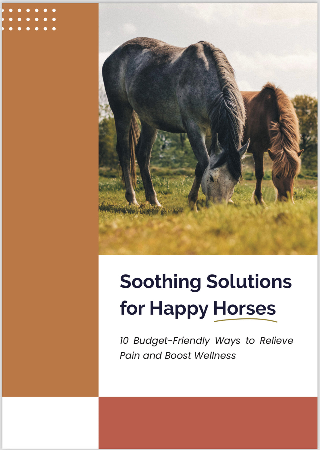 soothing Solutions for happy horses ebook cover