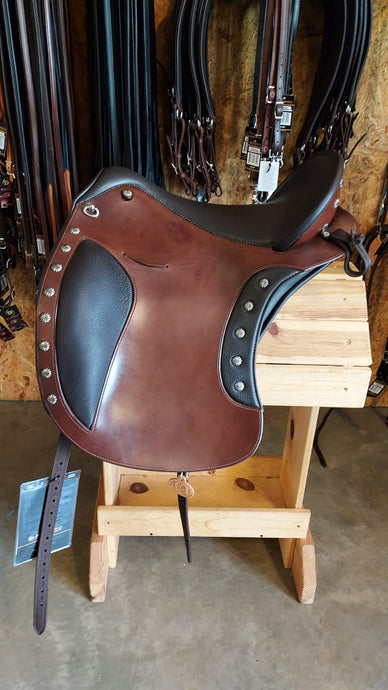 DP Saddlery El Campo Shorty 7865- S4